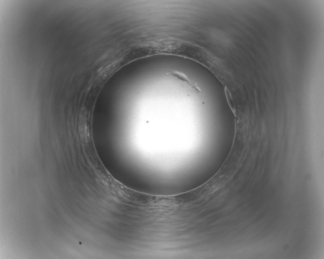 X0000066011058200603171500