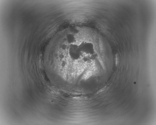 X0000066011059200603171500