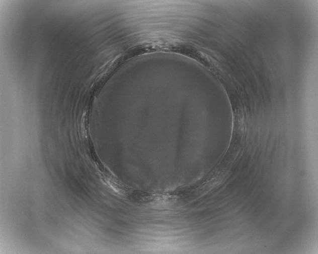 X0000066011060200603171500