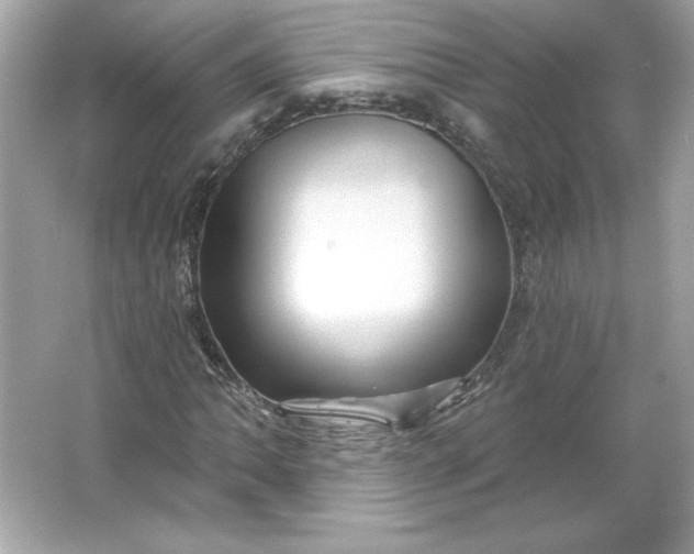 X0000066011062200603171500