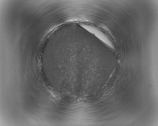 X0000066011064200603171500