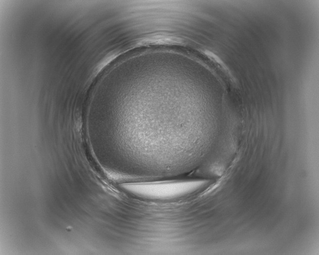 X0000066011065200603171500