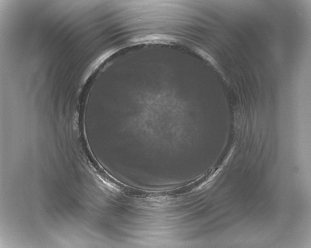 X0000066011066200603171500