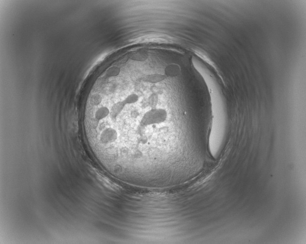 X0000066011067200603171500