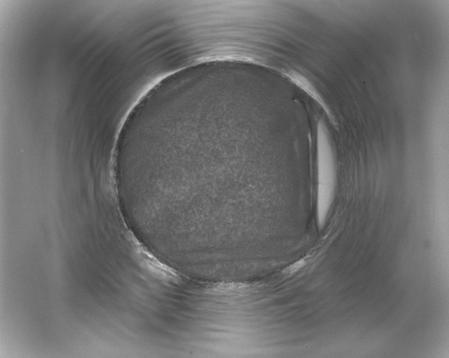 X0000066011068200603171500