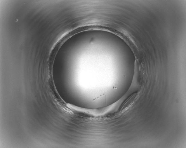 X0000066011069200603171500