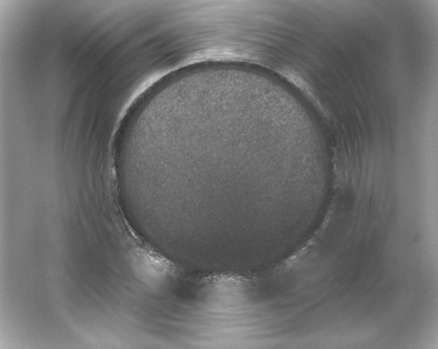 X0000066011070200603171500