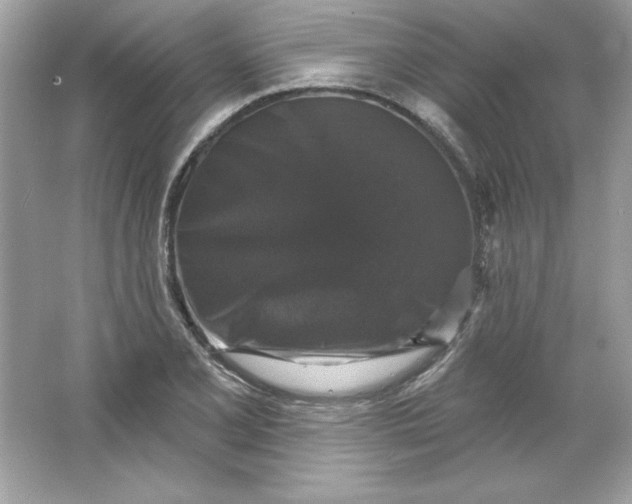 X0000066011077200603171500