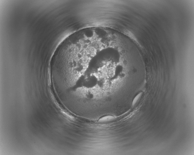 X0000066011079200603171500