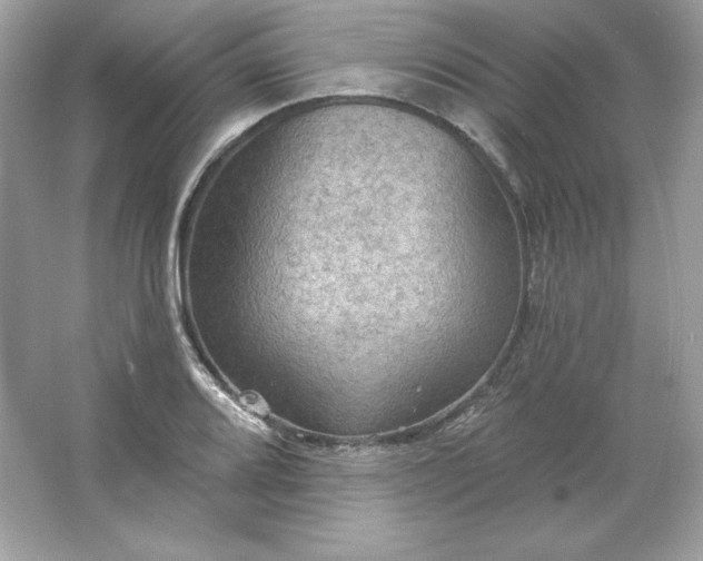 X0000066011080200603171500