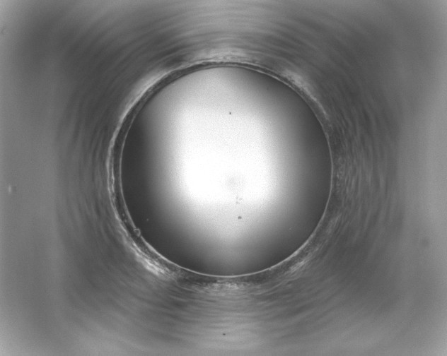 X0000066011082200603171459