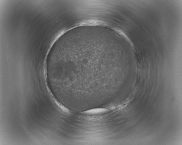 X0000066011083200603171459