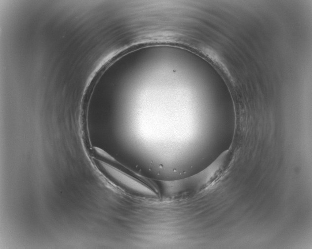 X0000066011085200603171459