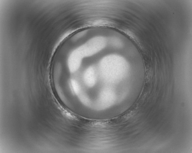 X0000066011086200603171459