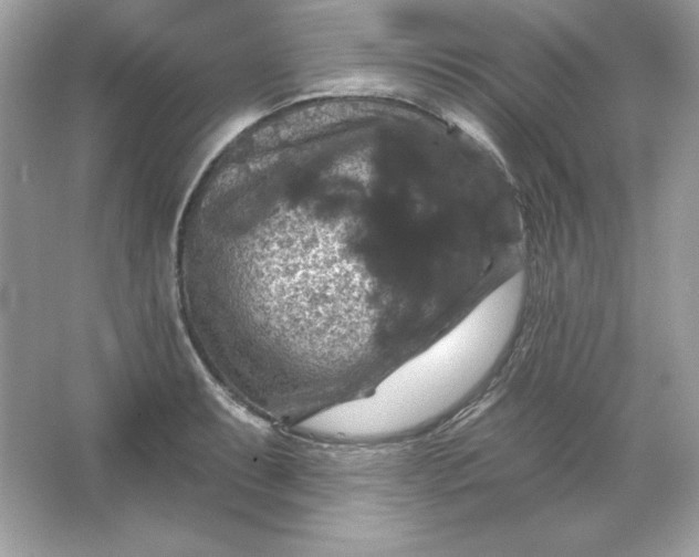 X0000066011087200603171459