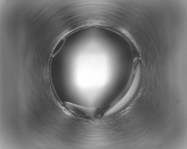 X0000066011089200603171459