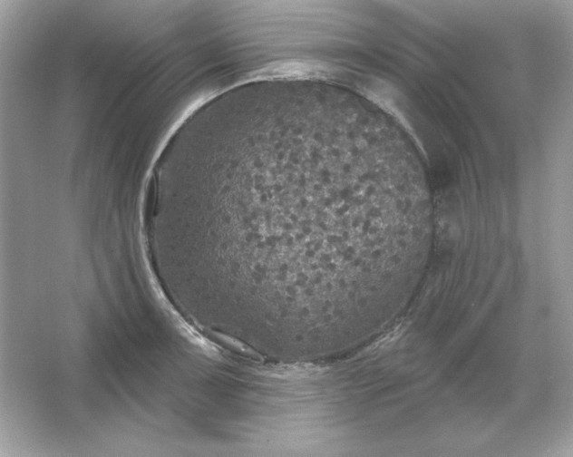 X0000066011091200603171459