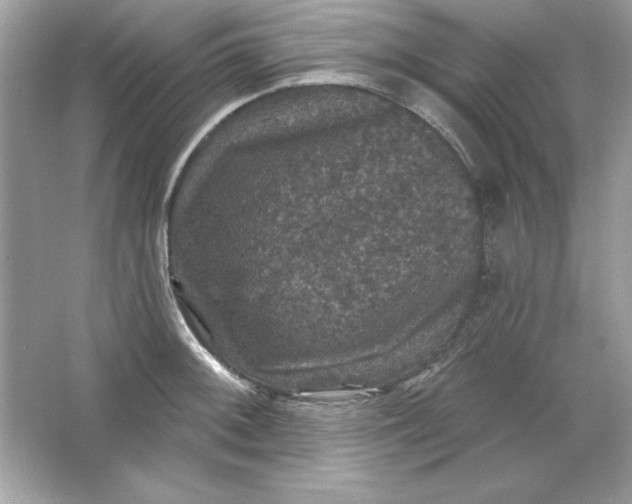 X0000066011092200603171459