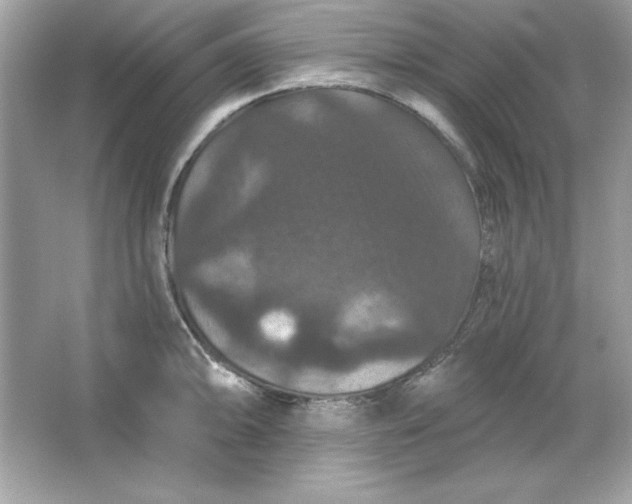 X0000066011094200603171459