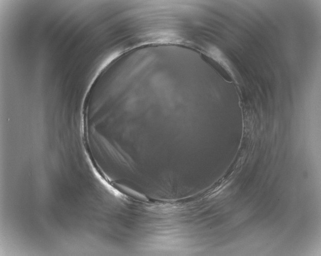 X0000066011095200603171459