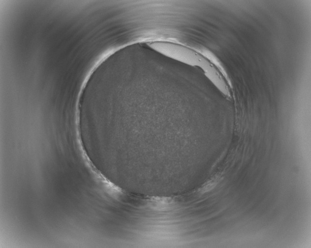 X0000066011096200603171459