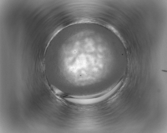 X0000066011097200603171459