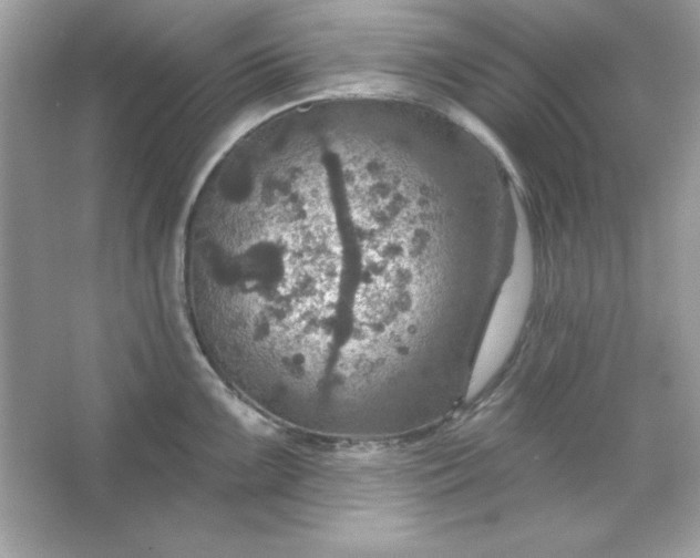 X0000066011099200603171459