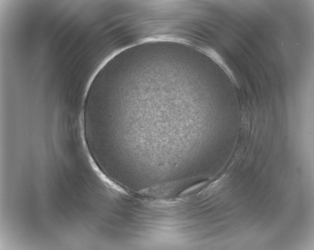 X0000066011100200603171459