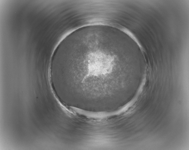 X0000066011101200603171459