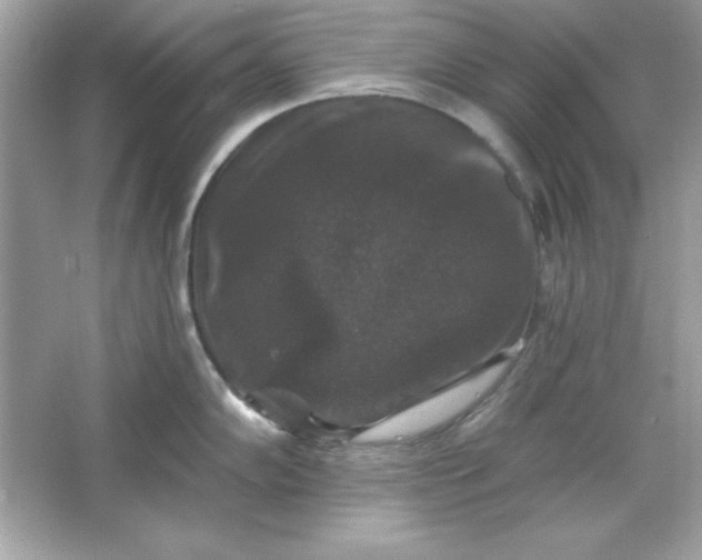 X0000066011102200603171459