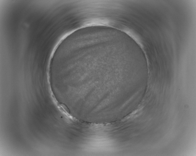 X0000066011104200603171459