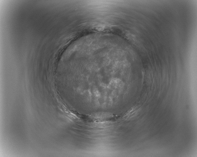 X0000066011105200603171458