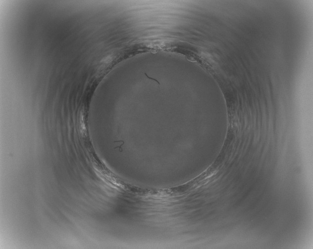 X0000066011106200603171458