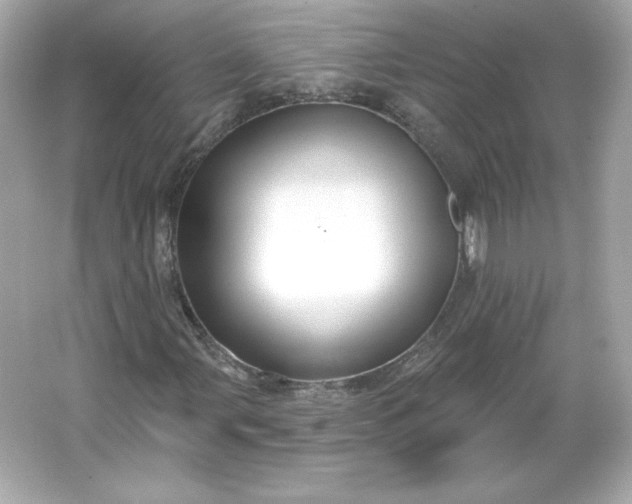 X0000066011107200603171458