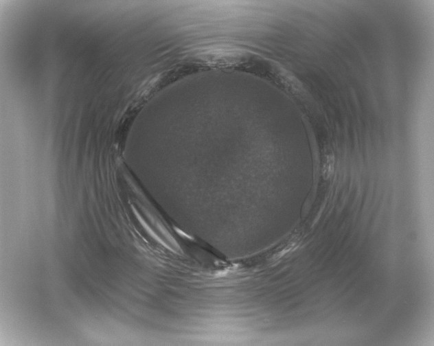 X0000066011108200603171458