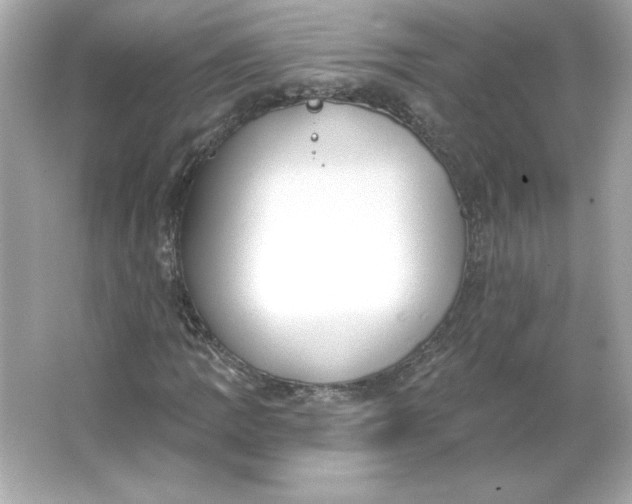 X0000066011109200603171458