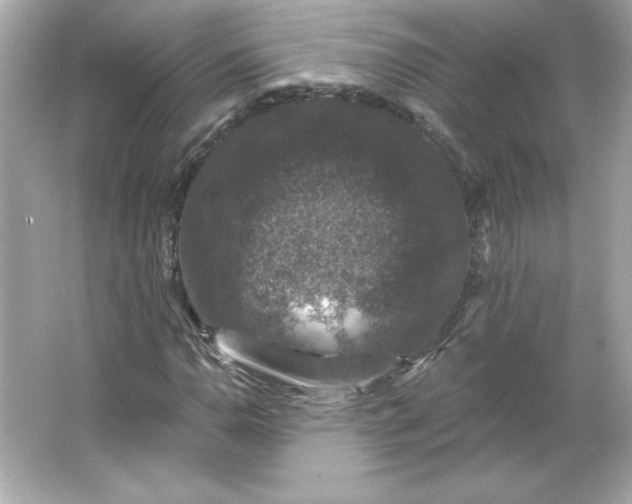 X0000066011110200603171458