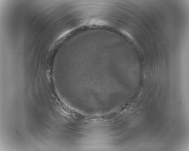 X0000066011112200603171458