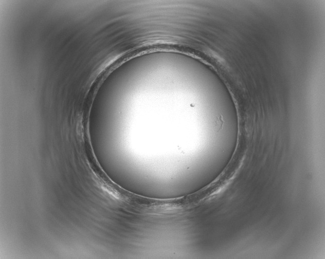 X0000066011113200603171458