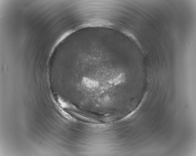 X0000066011114200603171458