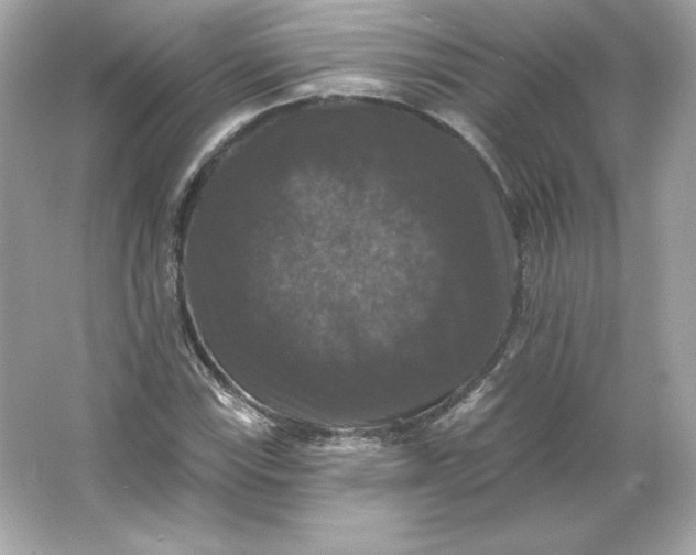 X0000066011115200603171458