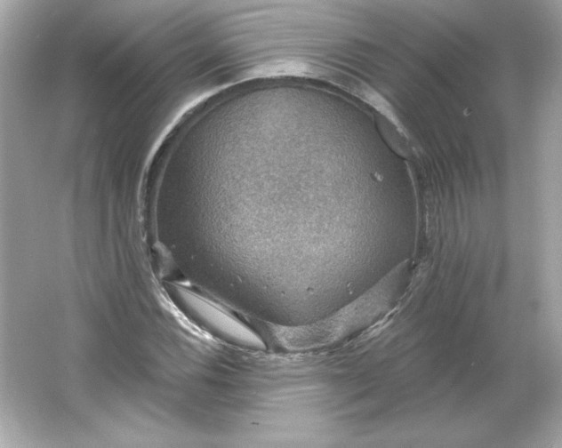 X0000066011116200603171458