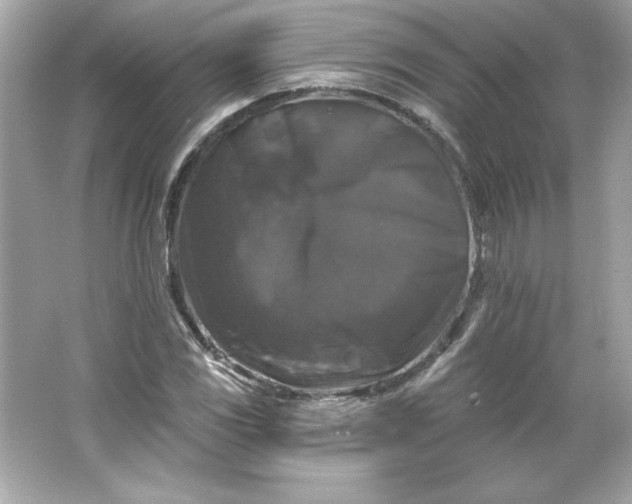 X0000066011117200603171458