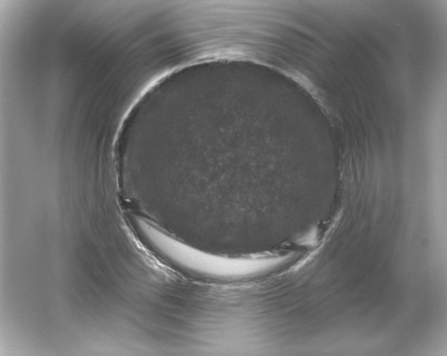 X0000066011118200603171459