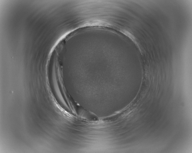 X0000066011120200603171459