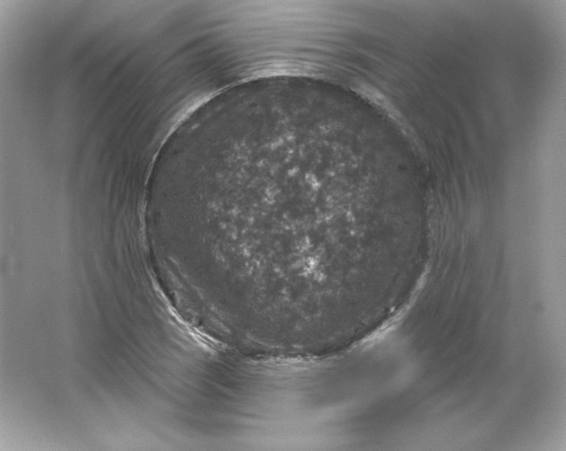 X0000066011121200603171459