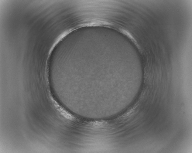 X0000066011122200603171459