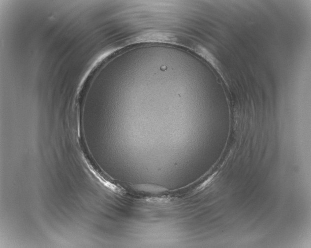 X0000066011123200603171459