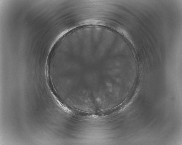 X0000066011125200603171459