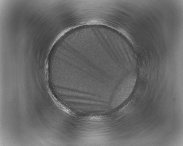 X0000066011126200603171459